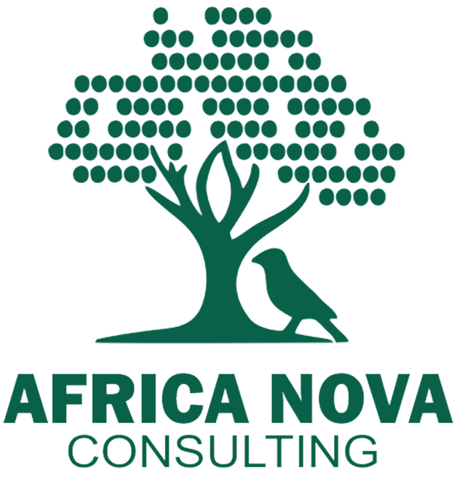 Africa Nova Group